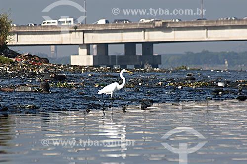  Assunto: Poluição na Baía de Guanabara durante a maré baixa  / Local:  Rio de Janeiro - RJ - Brasil  / Data: 05/2007 