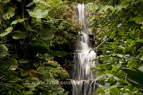  Assunto: Cascata no Jardim Botânico  / Local:  Rio de Janeiro - RJ - Brasil  / Data: 28/10/2008 