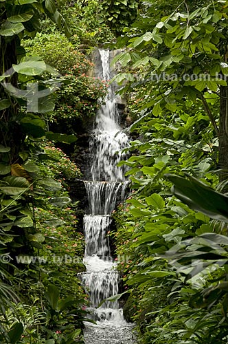  Assunto: Cascata no Jardim Botânico  / Local:  Rio de Janeiro - RJ - Brasil  / Data: 28/10/2008 