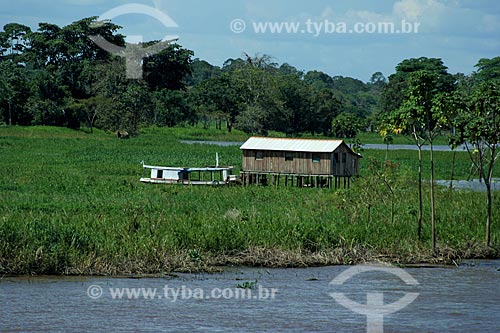  Assunto: Casa ribeirinha na margem do Rio Amazonas  / Local:  Amazonas - AM - Brasil  / Data: 06/2010 