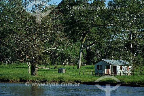  Assunto: Casa ribeirinha na margem do Rio Amazonas  / Local:  Amazonas - AM - Brasil  / Data: 06/2010 