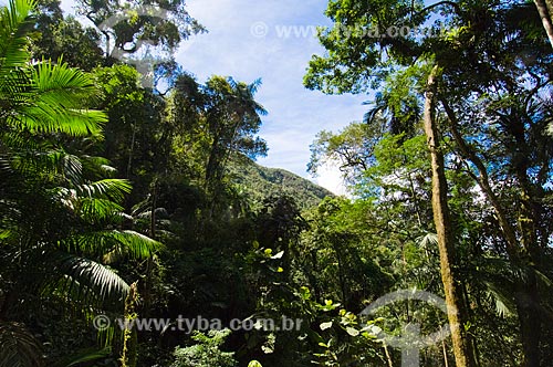  Assunto: Paisagem de Mata Atlântica na APA Serra da Mantiqueira  / Local:  Guaratinguetá - São Paulo - SP  / Data: 10/03/2006 