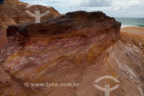  Assunto: Falésias da Praia do Gunga   / Local:  litoral sul de Maceió - Alagoas  / Data: 2011 