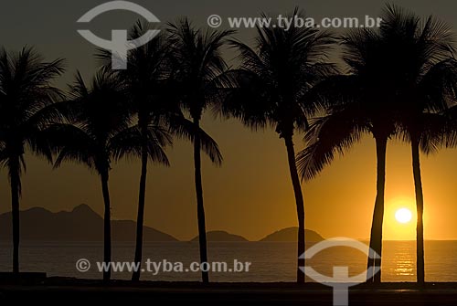  Assunto: Praia de Copacabana ao amanhecer com coqueiros. / Local: Copacabana - Rio de Janeiro - Rio de Janeiro (RJ) - Brasil / Data: 08 julho 2007 