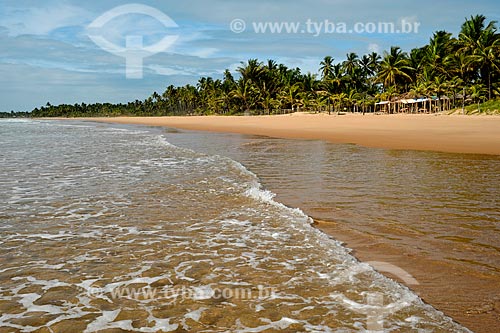  Assunto: Praia de Taipús de Fora  / Local: Maraú - Bahia (BA) - Brasil / Data: 02/2011 