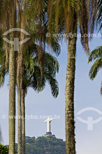  Assunto: Palmeiras Imperiais com Cristo Redentor ao fundo - Jardim Botânico / Local: Jardim Botânico - Rio de Janeiro - RJ - Brasil / Data: 02/2011 