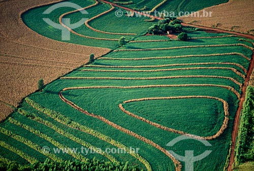  Assunto: Plantação de milho e soja / Local: Assis Chateaubriand - Paraná (PR) - Brasil / Data: 2009 