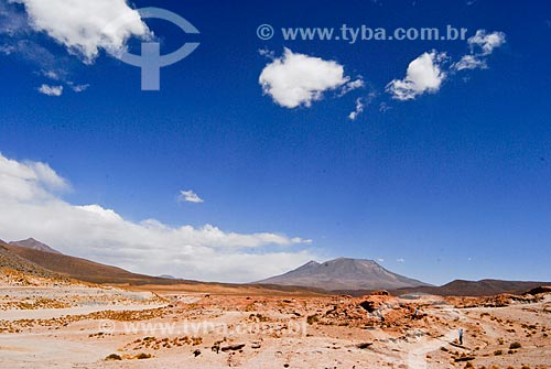  Assunto: Altiplano boliviano / Local: Bolívia - América do Sul / Data: 01/2011 