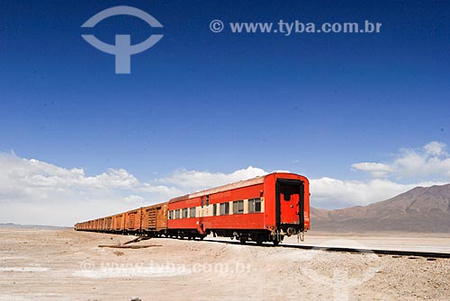  Assunto: Trem no altiplano boliviano - Transporta minérios explorados na região / Local: Bolívia - América do Sul / Data: 01/2011 