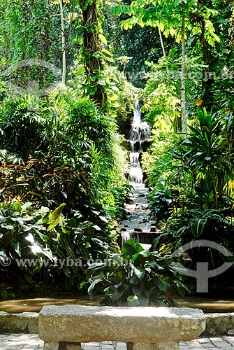  Assunto: Cascata no Jardim Botânico  / Local: Jardim Botânico - Rio de Janeiro (RJ) - Brasil / Data: 11/2010 