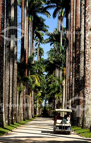  Assunto: Turistas andando de carro no Jardim Botânico / Local: Jardim Botânico - Rio de Janeiro (RJ) - Brasil / Data: 2010 