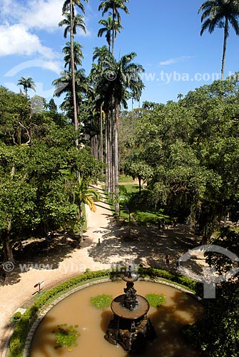  Assunto: Chafariz das Musas e Palmeiras imperiais ao fundo no Jardim Botânico / Local: Jardim Botânico - Rio de Janeiro (RJ) - Brasil / Data: 11/2010 