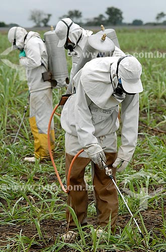  Assunto: Aplicação de agrotóxico em plantação de Cana-de-açúcar / Local: Campos - Rio de Janeiro (RJ) - Brasil / Data: 07/2007 