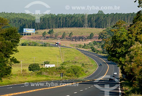  Assunto: Rodovia BR-386 - trecho com declive acentuado e perigo de acidentes / Local: Triunfo - Rio Grande do Sul (RS) - Brasil / Data: 03/2011 