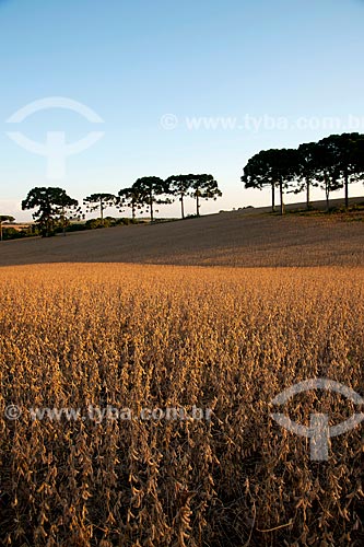 cd224_353.JPG