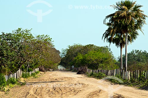  Assunto: Estrada Parque Pantanal  / Local: Corumbá - Mato Grosso do Sul (MS) - Brasil / Data: 10/2010 