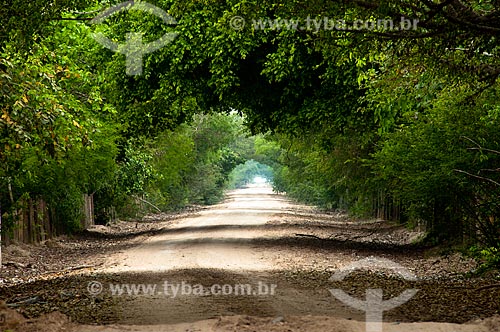  Assunto: Estrada Parque Pantanal  / Local: Corumbá - Mato Grosso do Sul (MS) - Brasil / Data: 10/2010 