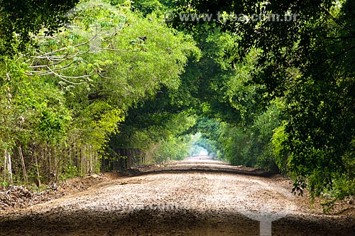  Assunto: Estrada Parque Pantanal  / Local: Corumbá - Mato Grosso do Sul (MS) - Brasil / Data: 10/2010 