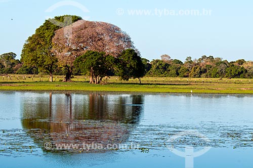  Assunto: Lagoa na Fazenda São João  / Local: Corumbá - Mato Grosso do Sul (MS) - Brasil / Data: 10/2010 