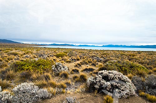  Assunto: Deserto em El Calafate / Local: Patagônia - Argentina - América do Sul / Data: 02/2010 