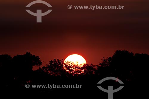  Assunto: Pôr do sol no Pantanal / Local: Corumbá - Mato Grosso do Sul (MS) - Brasil / Data: 10/2010 