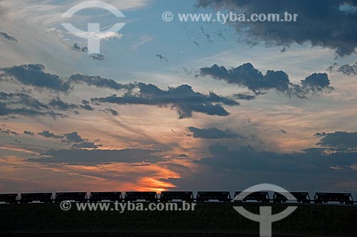  Assunto: Vagões da Ferrovia Transnordestina - TLSA - Transnordestina Logística S/A / Local: Salgueiro - Pernambuco (PE) - Brasil / Data: 10/2011 