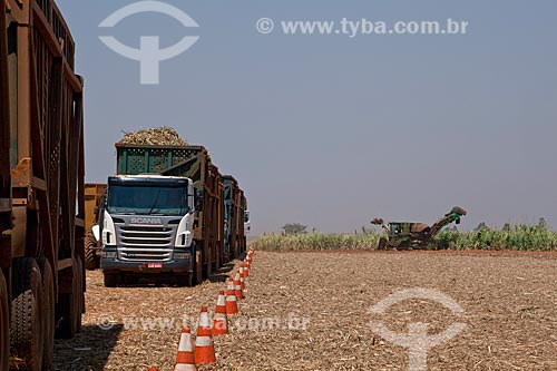  Assunto: Colheita Mecanizada de cana-de-açúcar para Usina de Cogeração (açúcar, etanol e energia elétrica) da empresa Guarani / Local: Olímpia - São Paulo (SP) - Brasil  / Data: 09/2011 