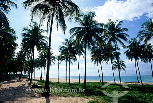  Assunto: Praia Guaxuma / Local: Maceió - Alagoas (AL) - Brasil / Data11/2009 