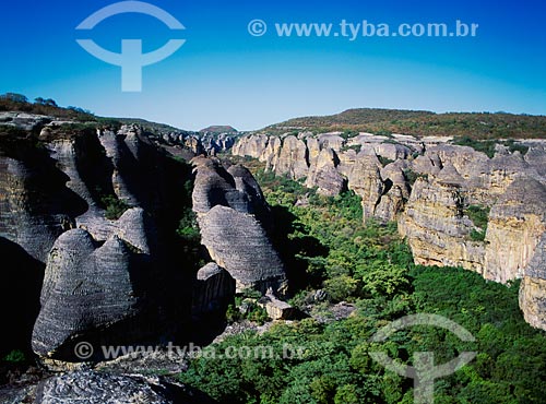  Assunto: Serra da Capivara - Parque Nacional Serra da Capivara / Local: Piauí (PI) - Brasil / Data: 08/2007 