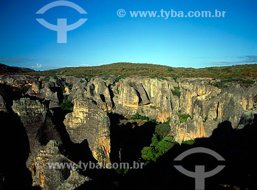  Assunto: Serra da Capivara - Parque Nacional Serra da Capivara / Local: Piauí (PI) - Brasil / Data: 08/2007 