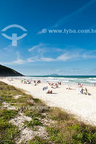  Assunto: Praia dos Ingleses / Local: Florianópolis - Santa Catarina (SC) - Brasil / Data: 02/2012 