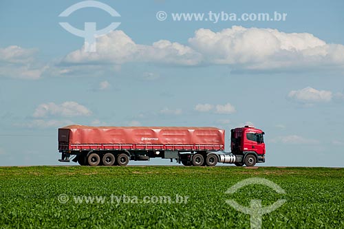  Assunto: Caminhão graneleiro passando em plantação de soja - Trecho da Rodovia BR - 153 / Local: Rondonópolis - Mato Grosso (MT) - Brasil / Data: 12/2011 