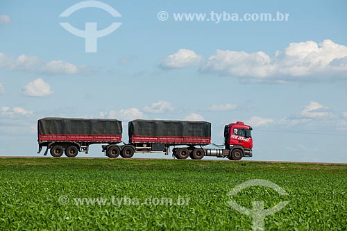  Assunto: Caminhão graneleiro passando em plantação de soja - Trecho da Rodovia BR - 153 / Local: Rondonópolis - Mato Grosso (MT) - Brasil / Data: 12/2011 