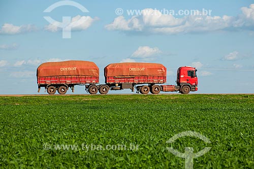  Assunto: Caminhão graneleiro passando em plantação de soja - Trecho da Rodovia BR - 153 / Local: Rondonópolis - Mato Grosso (MT) - Brasil / Data: 12/2011 