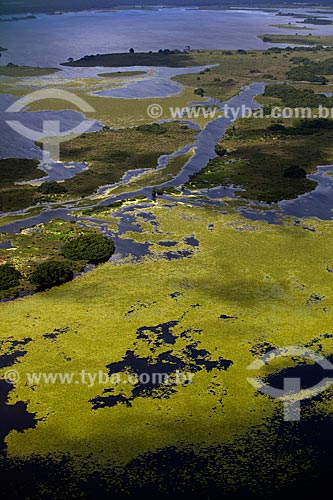  Assunto: Vista aérea da Reserva Biológica Lago PiratubaData: 04 / Local: Amapá (AP) - Brasil / Data: 04/2012 