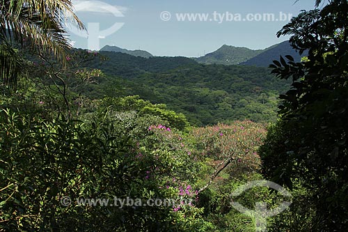  Assunto: Vista da Floresta da Tijuca / Local: Rio de Janeiro (RJ) - Brasil / Data: 02/2012 