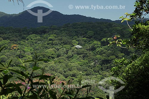  Assunto: Vista da Floresta da Tijuca / Local: Rio de Janeiro (RJ) - Brasil / Data: 02/2012 