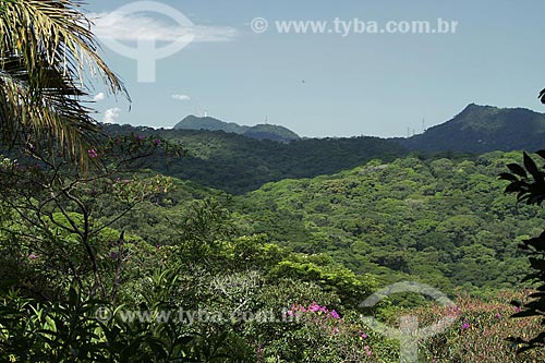  Assunto: Vista da Floresta da Tijuca / Local: Rio de Janeiro (RJ) - Brasil / Data: 02/2012 