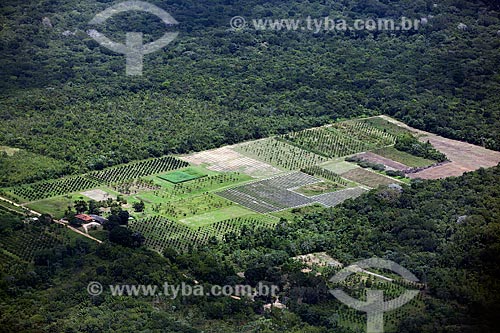  Assunto: Vista aérea de agricultura na Floresta Amazônica / Local: Porto Grande - Amapá (AP) - Brasil / Data: 04/2012 