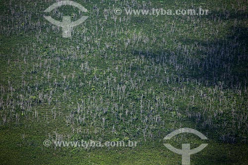  Assunto: Vista aérea da Reserva Biológica Lago Piratuba / Local: Amapá (AP) - Brasil / Data: 04/2012 