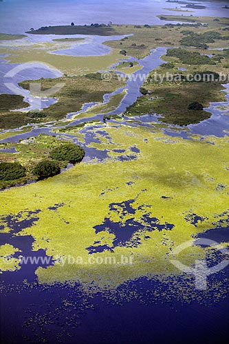  Assunto: Vista aérea da Reserva Biológica Lago Piratuba / Local: Amapá (AP) - Brasil / Data: 04/2012 