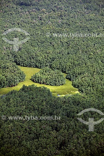  Assunto: Vista aérea da Reserva Biológica Lago Piratuba / Local: Amapá (AP) - Brasil / Data: 04/2012 