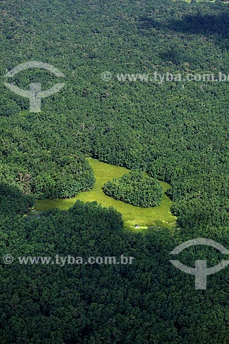  Assunto: Vista aérea da Reserva Biológica Lago Piratuba / Local: Amapá (AP) - Brasil / Data: 04/2012 