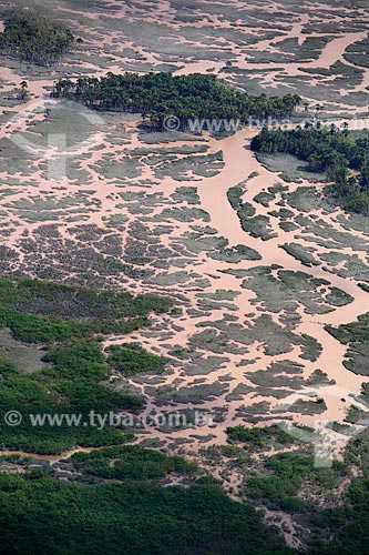  Assunto: Vista aérea do Arquipélago do Bailique / Local: Amapá (AP) - Brasil / Data: 04/2012 