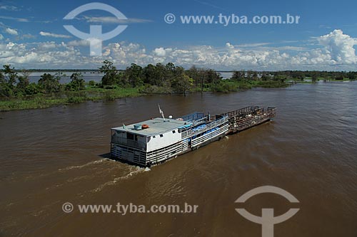  Assunto: Balsa transportando gado no Rio Amazonas na época da cheia / Local: Parintins - Amazonas (AM) - Brasil / Data: 07/2012 