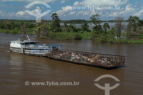  Assunto: Balsa transportando gado no Rio Amazonas na época da cheia / Local: Parintins - Amazonas (AM) - Brasil / Data: 07/2012 