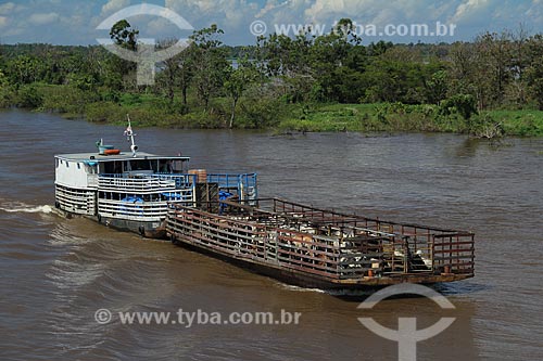  Assunto: Balsa transportando gado no Rio Amazonas na época da cheia / Local: Parintins - Amazonas (AM) - Brasil / Data: 07/2012 