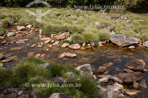  Assunto: Vegetação e pedras no Rio São Francisco no Parque Nacional da Serra da Canastra / Local: São Roque de Minas - Minas Gerais (MG) - Brasil / Data: 10/2011 