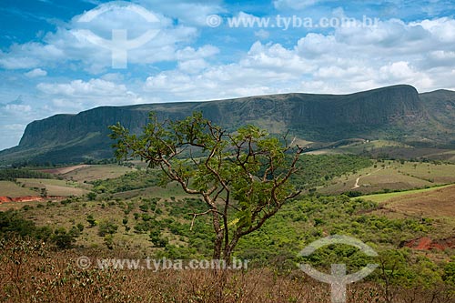  Assunto: Vista do Chapadão da Serra da Canastra no Parque Nacional da Serra da Canastra / Local: São Roque de Minas - Minas Gerais (MG) - Brasil / Data: 10/2011 