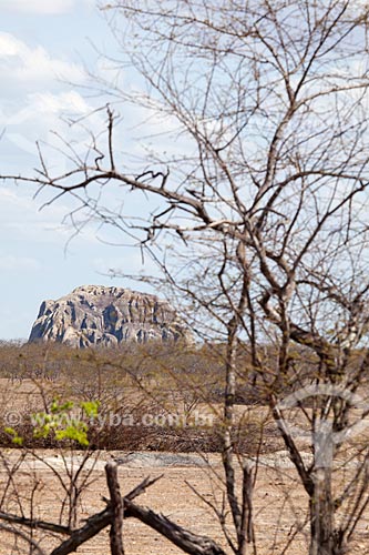  Assunto: Paisagem de Caatinga com monólito ao fundo / Local: Quixadá - Ceará (CE) - Brasil / Data: 11/2012 